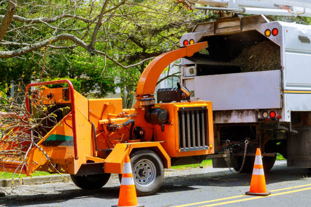 Best Commercial Tree Services  in Fobes Hill, WA